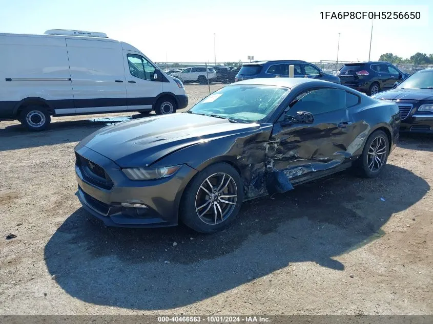 2017 Ford Mustang Gt VIN: 1FA6P8CF0H5256650 Lot: 40466563