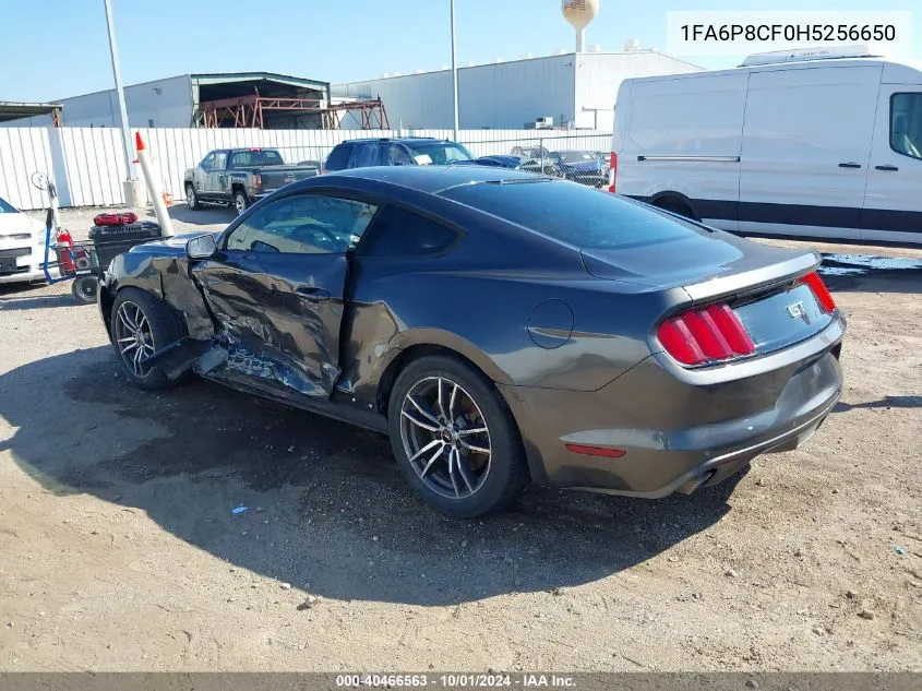 2017 Ford Mustang Gt VIN: 1FA6P8CF0H5256650 Lot: 40466563