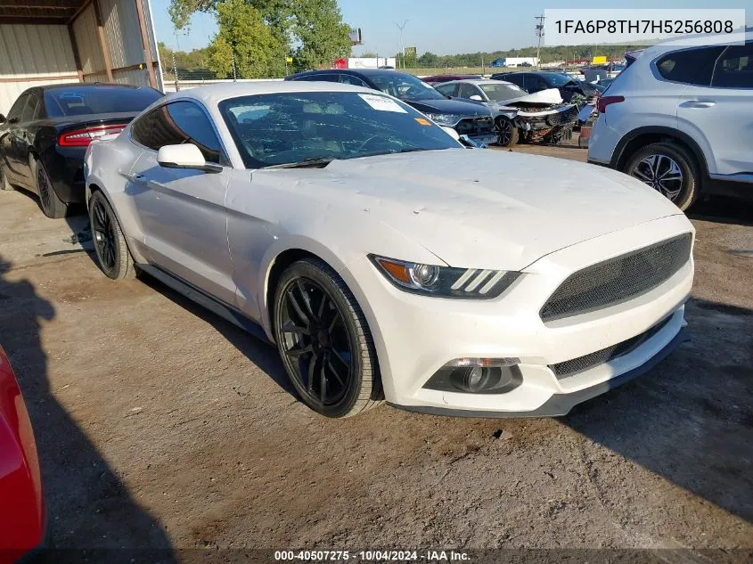 2017 Ford Mustang Ecoboost VIN: 1FA6P8TH7H5256808 Lot: 40507275