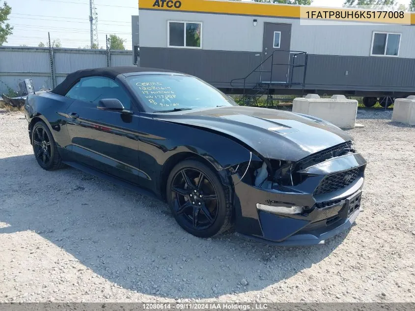 2019 Ford Mustang VIN: 1FATP8UH6K5177008 Lot: 12080614