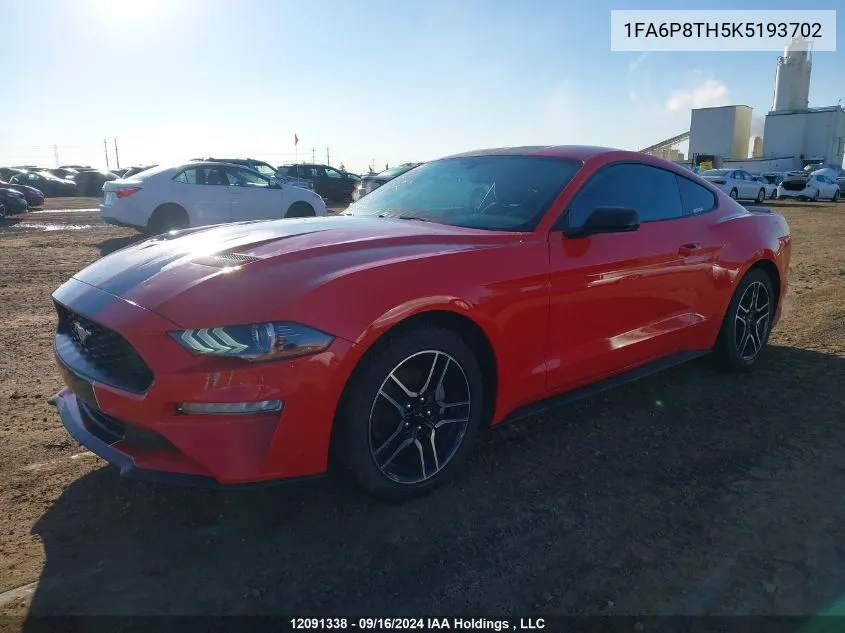 2019 Ford Mustang VIN: 1FA6P8TH5K5193702 Lot: 12091338