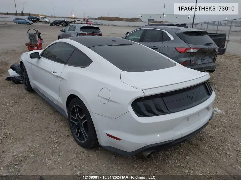 2019 Ford Mustang VIN: 1FA6P8TH8K5173010 Lot: 12138981