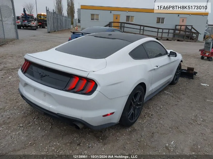 2019 Ford Mustang VIN: 1FA6P8TH8K5173010 Lot: 12138981