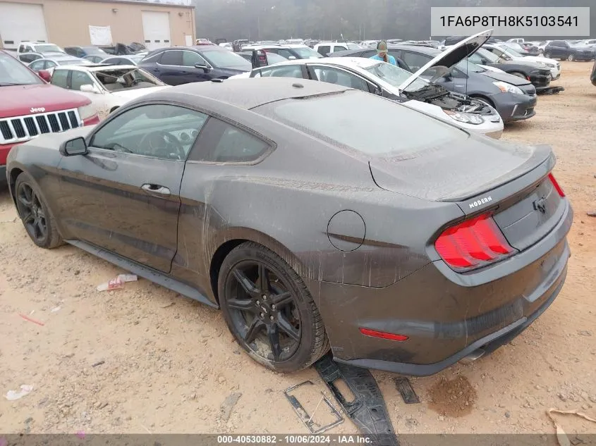 2019 Ford Mustang Ecoboost VIN: 1FA6P8TH8K5103541 Lot: 40530882