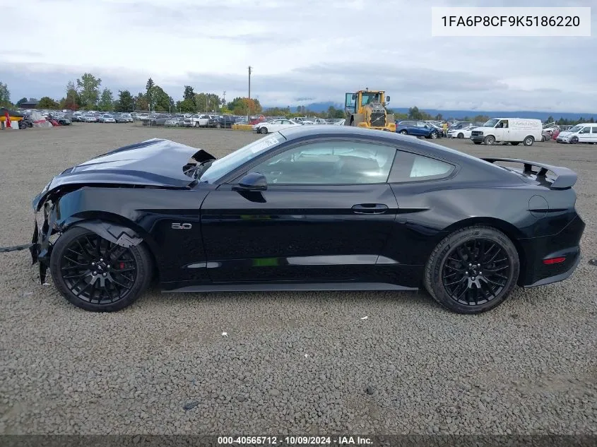 2019 Ford Mustang Gt Premium VIN: 1FA6P8CF9K5186220 Lot: 40565712