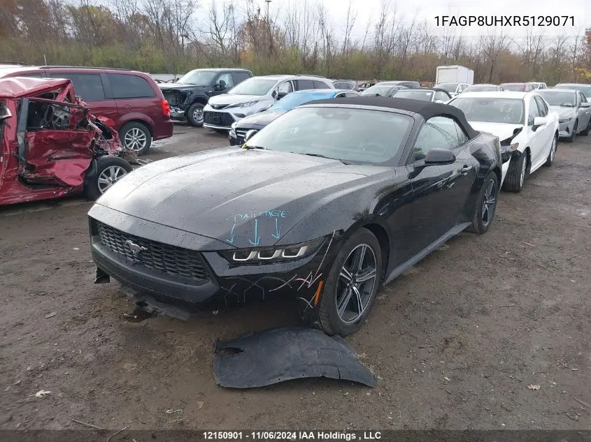 2024 Ford Mustang VIN: 1FAGP8UHXR5129071 Lot: 12150901