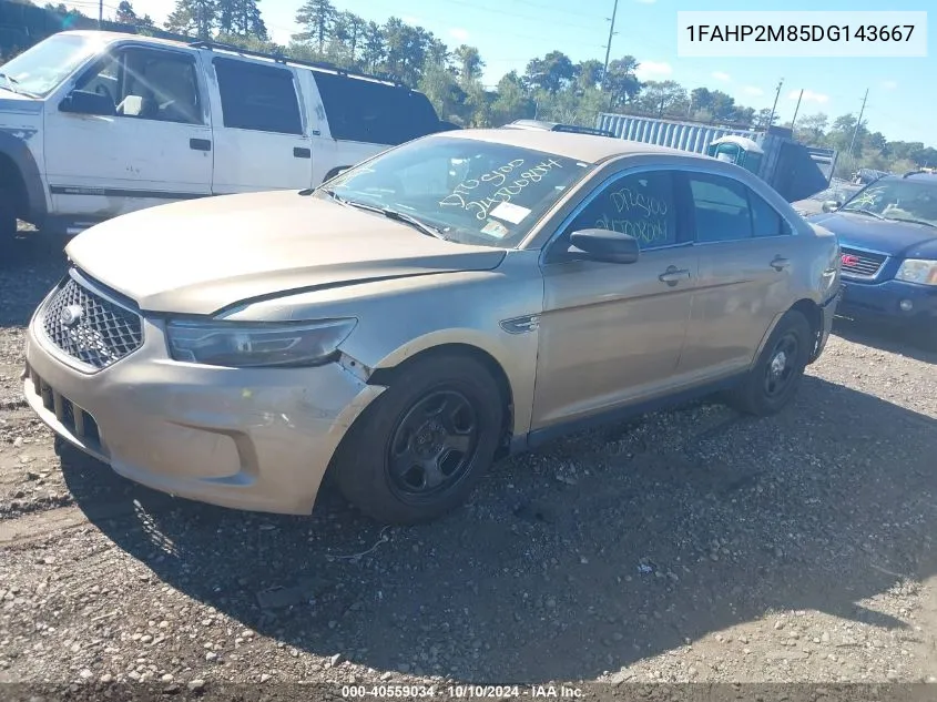 1FAHP2M85DG143667 2013 Ford Police Interceptor