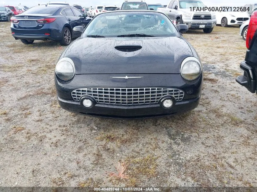 2002 Ford Thunderbird VIN: 1FAHP60A02Y122684 Lot: 40489744