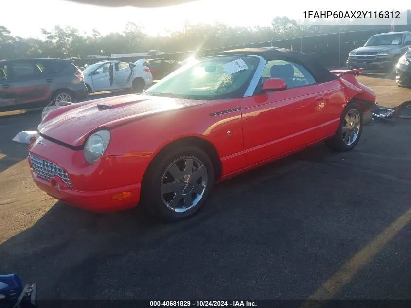 2002 Ford Thunderbird VIN: 1FAHP60AX2Y116312 Lot: 40681829