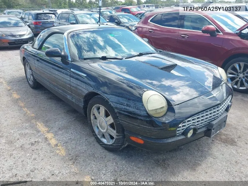 2005 Ford Thunderbird 50Th Anniversary VIN: 1FAHP60A25Y103137 Lot: 40470321