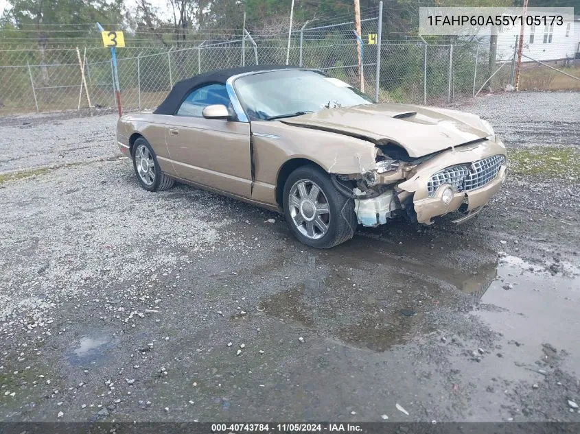 2005 Ford Thunderbird 50Th Anniversary VIN: 1FAHP60A55Y105173 Lot: 40743784