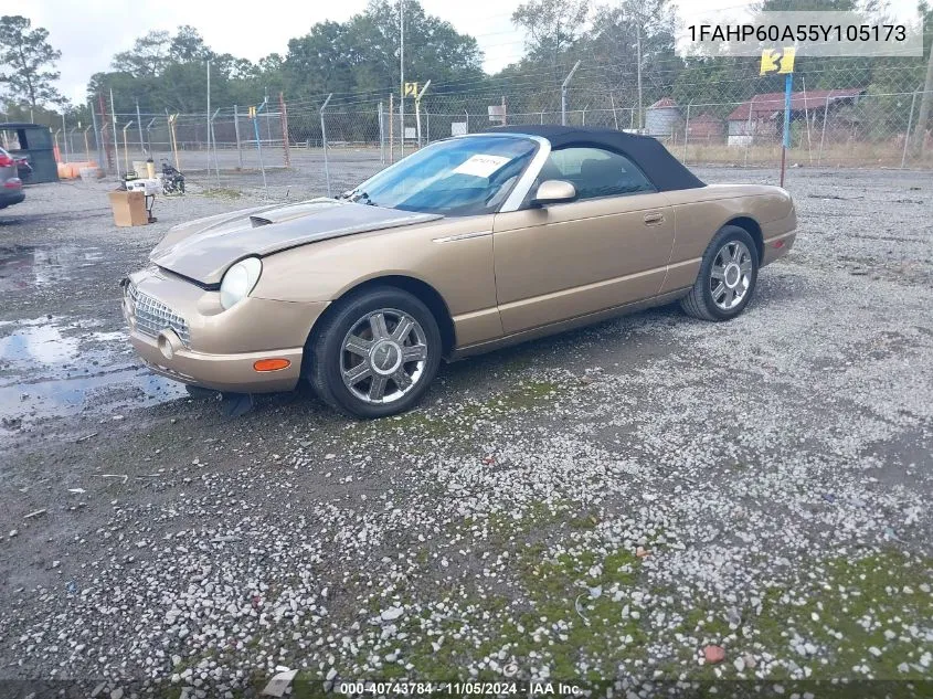 2005 Ford Thunderbird 50Th Anniversary VIN: 1FAHP60A55Y105173 Lot: 40743784