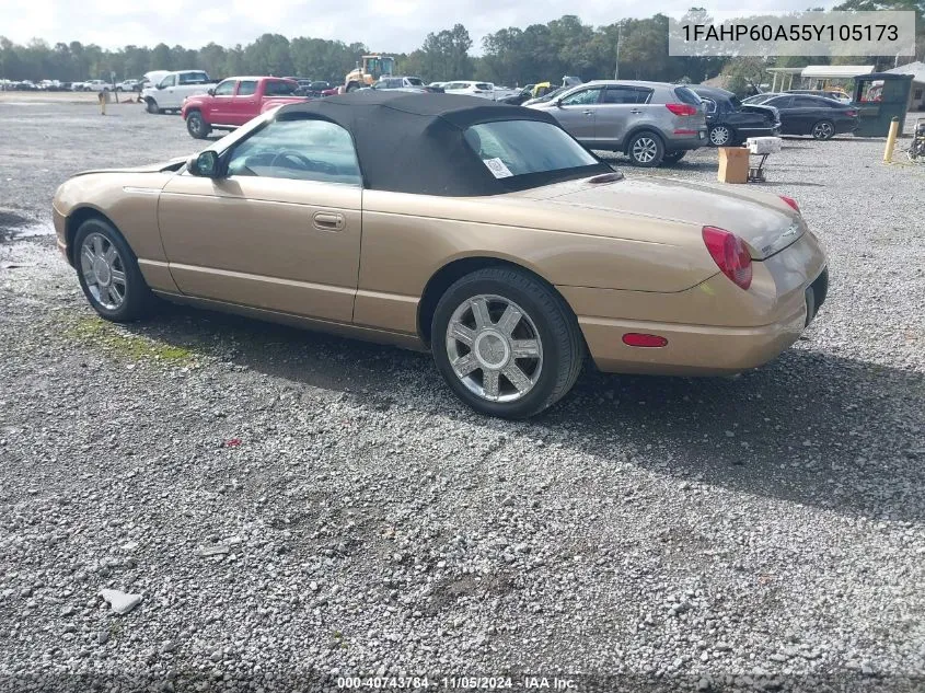 2005 Ford Thunderbird 50Th Anniversary VIN: 1FAHP60A55Y105173 Lot: 40743784