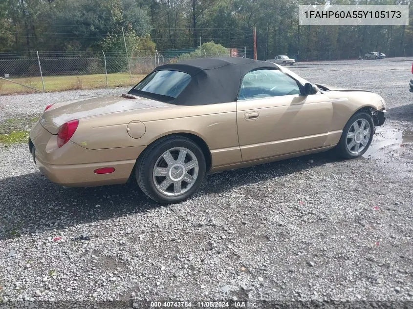 2005 Ford Thunderbird 50Th Anniversary VIN: 1FAHP60A55Y105173 Lot: 40743784