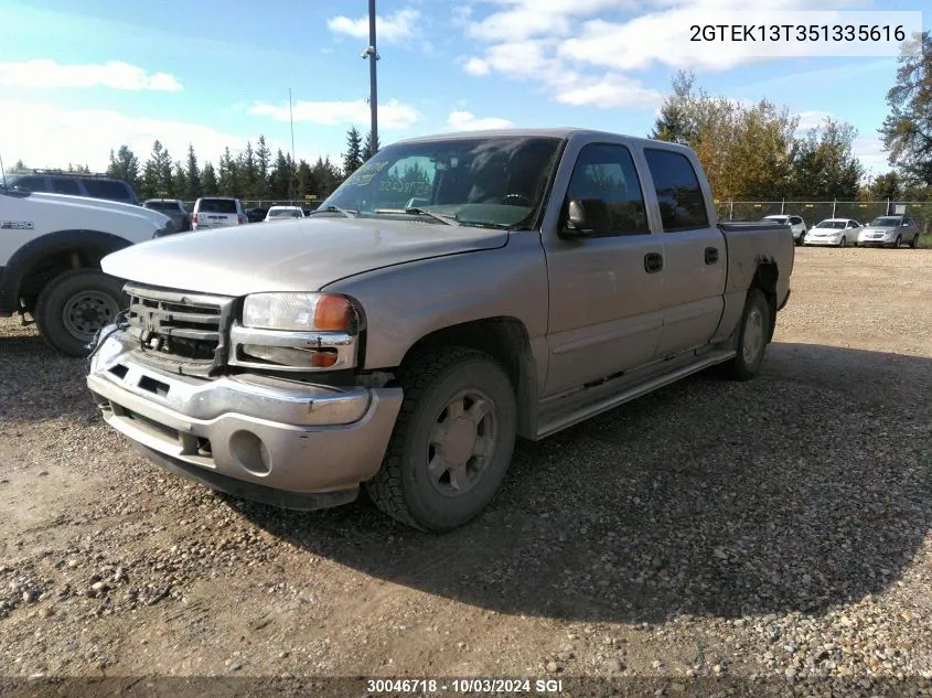 2005 GMC New Sierra K1500 VIN: 2GTEK13T351335616 Lot: 30046718