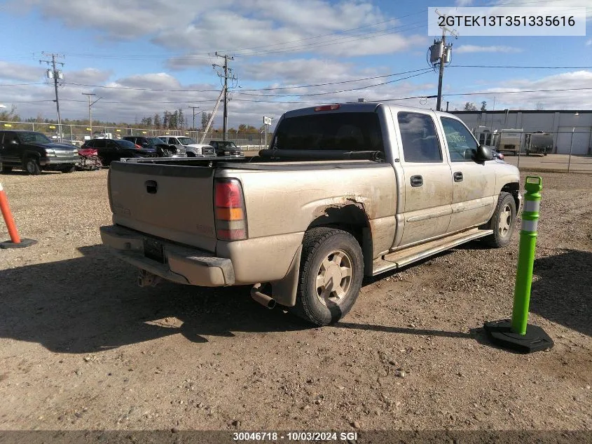 2005 GMC New Sierra K1500 VIN: 2GTEK13T351335616 Lot: 30046718