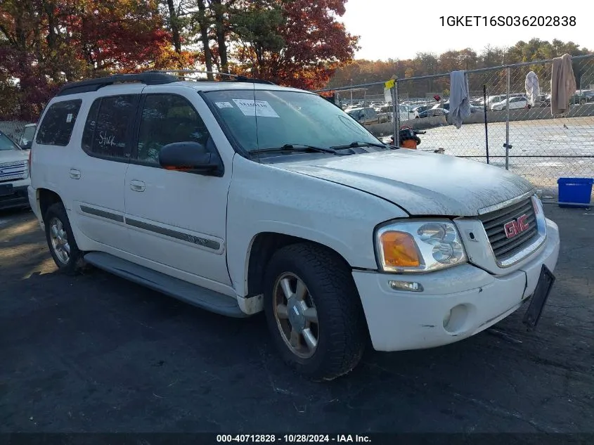 2003 GMC Envoy Xl Slt VIN: 1GKET16S036202838 Lot: 40712828