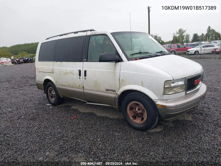 2001 GMC Safari Sle VIN: 1GKDM19W01B517389 Lot: 40431487