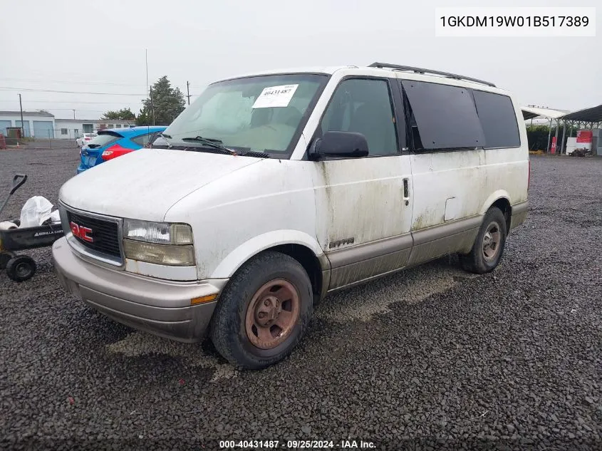 2001 GMC Safari Sle VIN: 1GKDM19W01B517389 Lot: 40431487