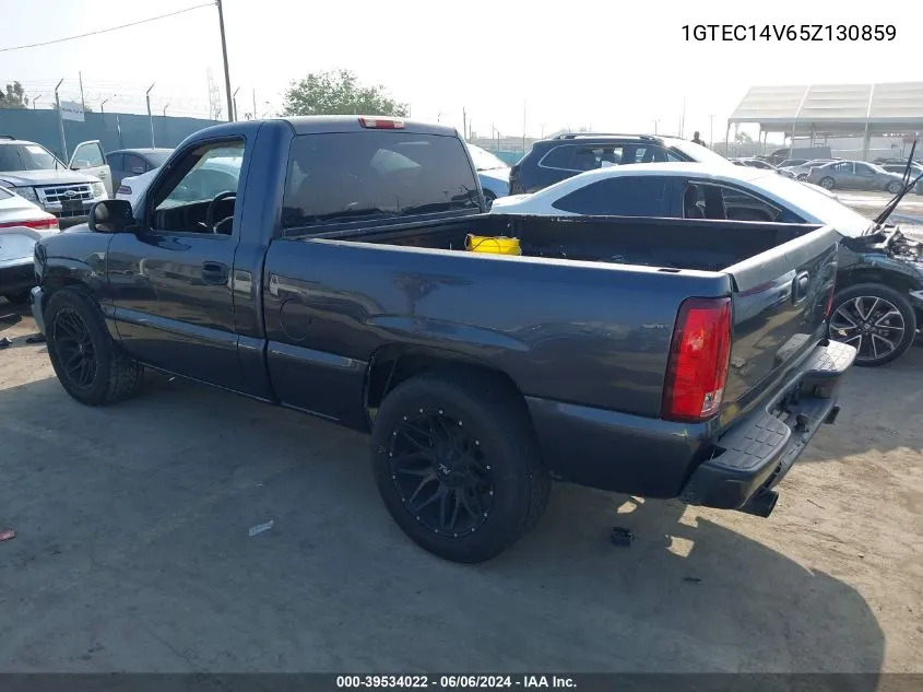 1GTEC14V65Z130859 2005 GMC Sierra 1500 Work Truck