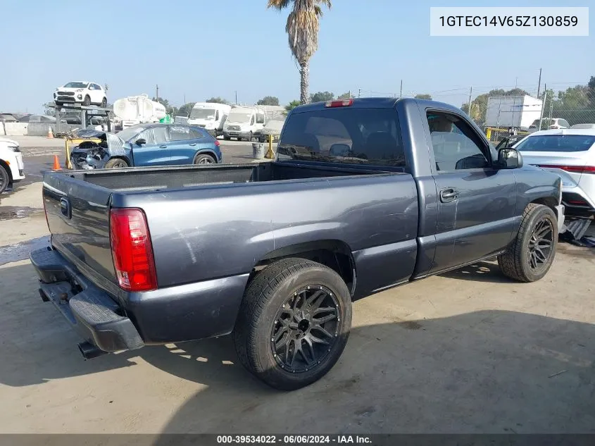 1GTEC14V65Z130859 2005 GMC Sierra 1500 Work Truck