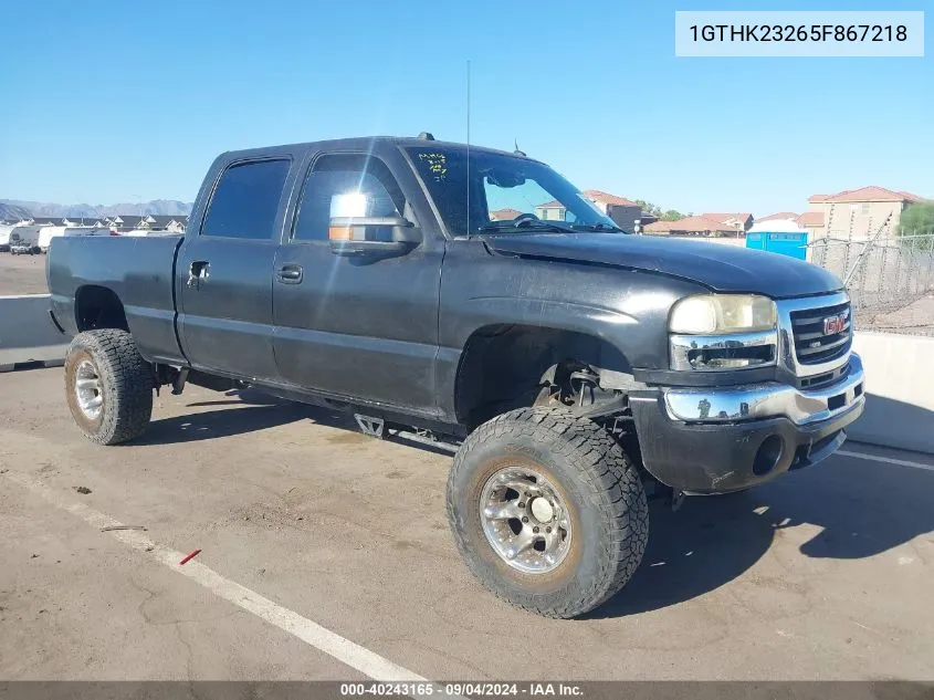 2005 GMC Sierra 2500Hd Slt VIN: 1GTHK23265F867218 Lot: 40243165