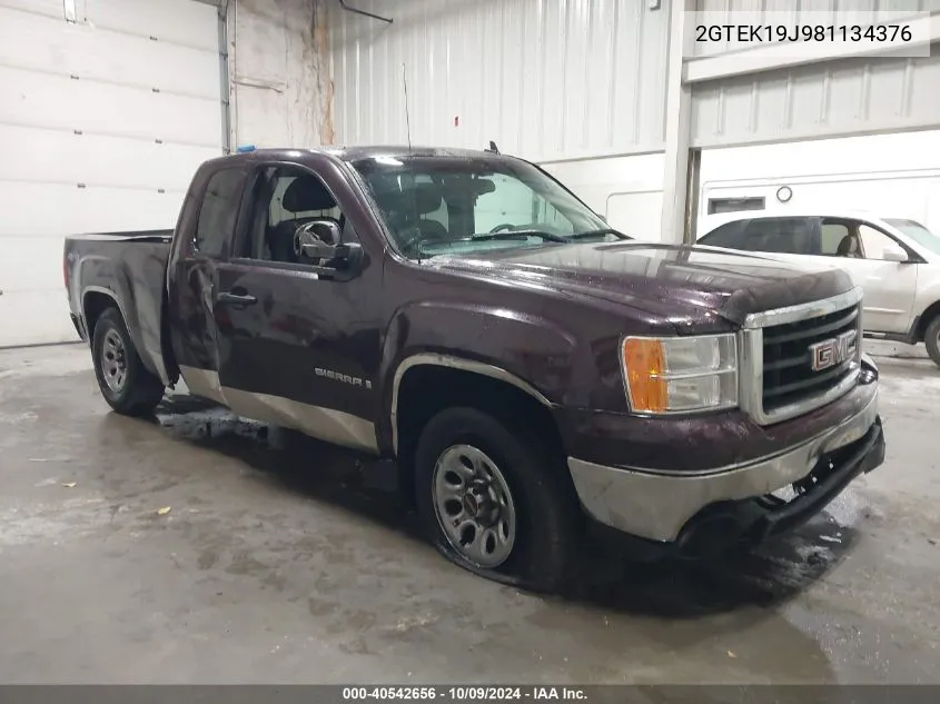 2008 GMC Sierra K1500 VIN: 2GTEK19J981134376 Lot: 40542656