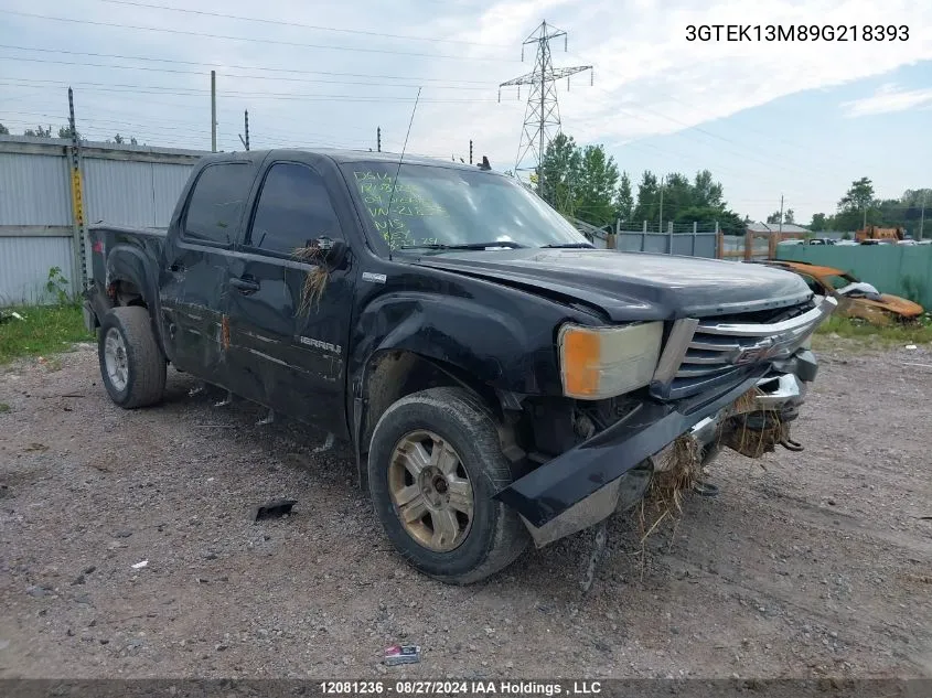 2009 GMC Sierra 1500 VIN: 3GTEK13M89G218393 Lot: 12081236