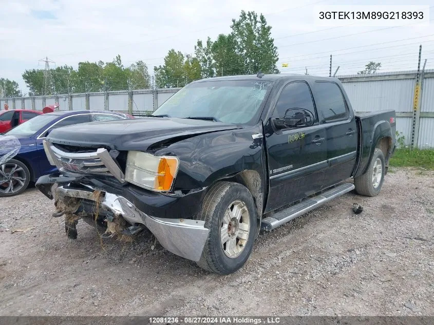 2009 GMC Sierra 1500 VIN: 3GTEK13M89G218393 Lot: 12081236