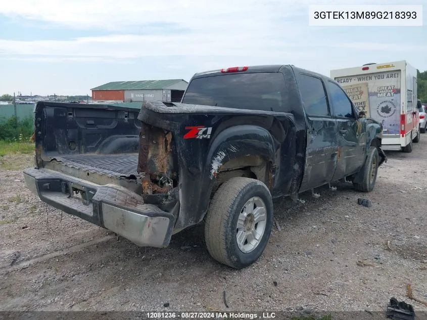 2009 GMC Sierra 1500 VIN: 3GTEK13M89G218393 Lot: 12081236