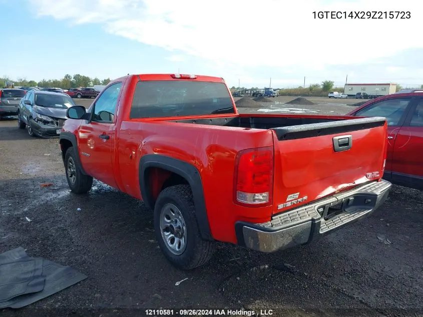 2009 GMC Sierra 1500 VIN: 1GTEC14X29Z215723 Lot: 12110581