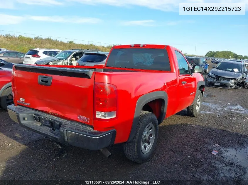 2009 GMC Sierra 1500 VIN: 1GTEC14X29Z215723 Lot: 12110581