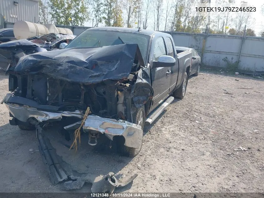 2009 GMC Sierra 1500 VIN: 1GTEK19J79Z246523 Lot: 12121348