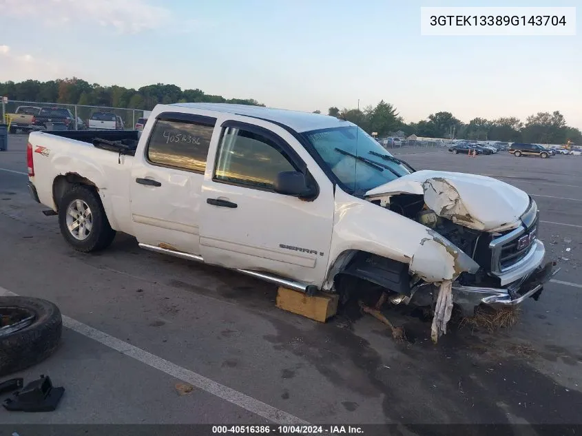 2009 GMC Sierra 1500 Work Truck VIN: 3GTEK13389G143704 Lot: 40516386