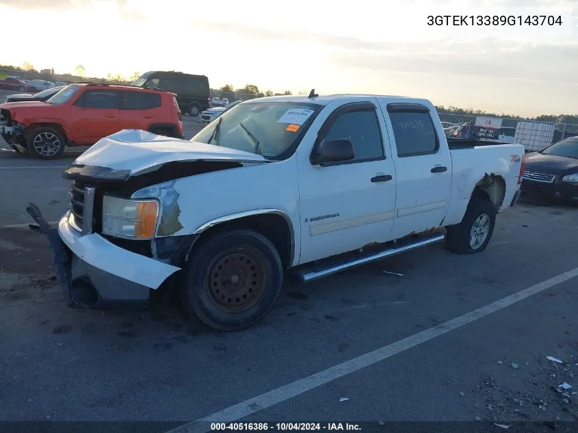 2009 GMC Sierra 1500 Work Truck VIN: 3GTEK13389G143704 Lot: 40516386