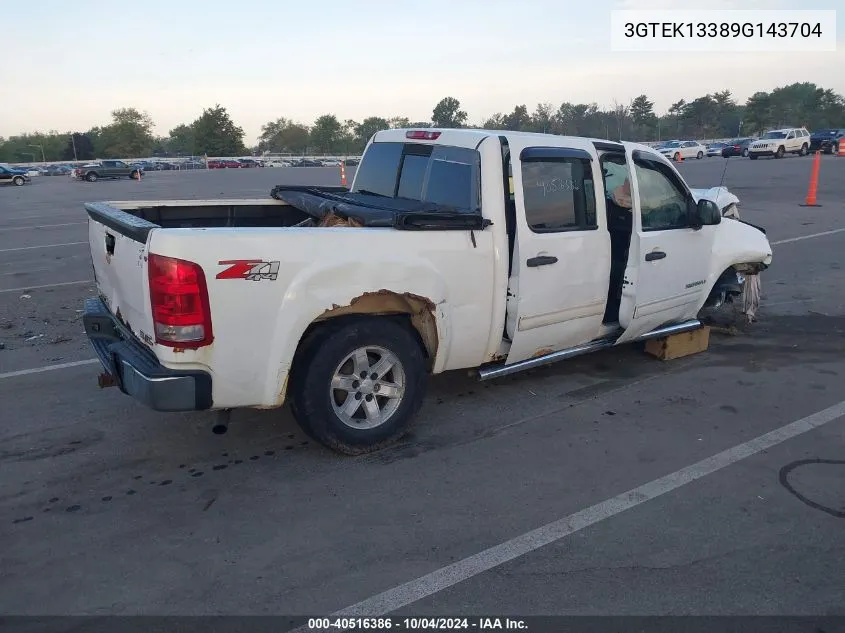 2009 GMC Sierra 1500 Work Truck VIN: 3GTEK13389G143704 Lot: 40516386