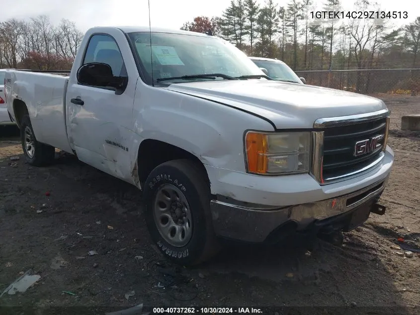 2009 GMC Sierra 1500 Work Truck VIN: 1GTEK14C29Z134513 Lot: 40737262