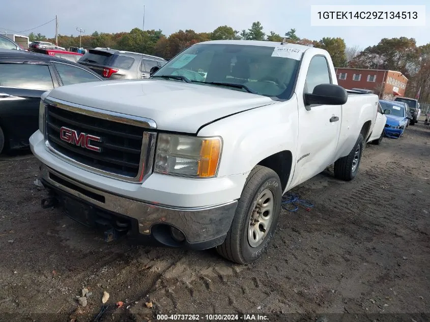 2009 GMC Sierra 1500 Work Truck VIN: 1GTEK14C29Z134513 Lot: 40737262