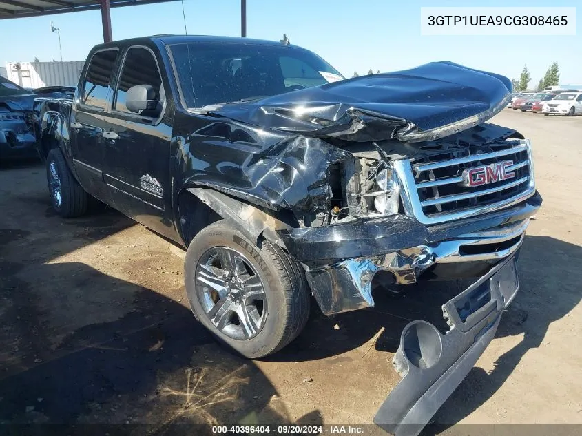 2012 GMC Sierra 1500 Sl VIN: 3GTP1UEA9CG308465 Lot: 40396404