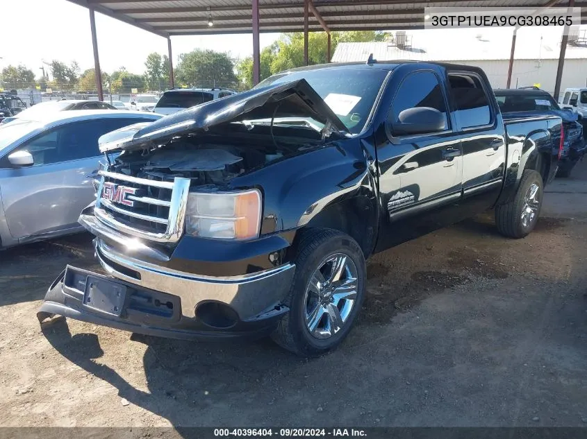 2012 GMC Sierra 1500 Sl VIN: 3GTP1UEA9CG308465 Lot: 40396404