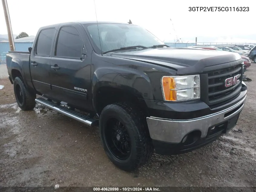 2012 GMC Sierra 1500 Sle VIN: 3GTP2VE75CG116323 Lot: 40628598