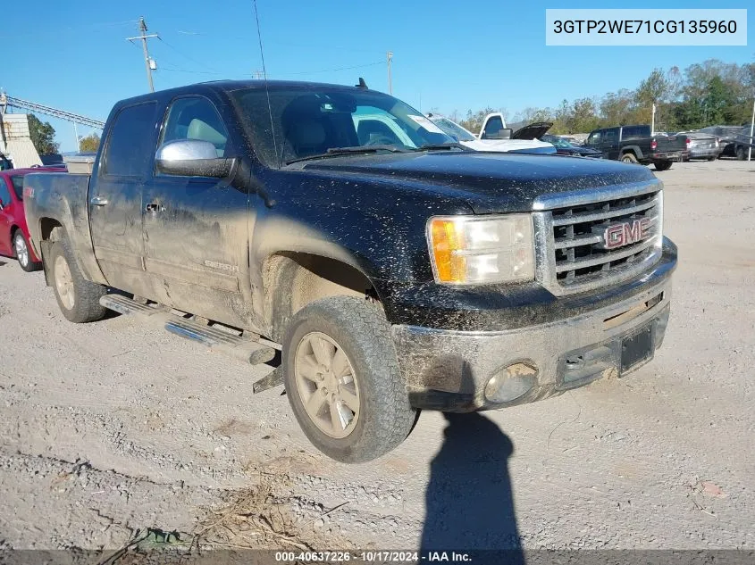 2012 GMC Sierra 1500 Slt VIN: 3GTP2WE71CG135960 Lot: 40637226