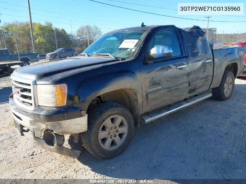 2012 GMC Sierra 1500 Slt VIN: 3GTP2WE71CG135960 Lot: 40637226