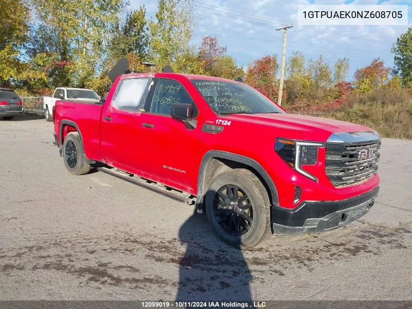 2022 GMC Sierra 1500 VIN: 1GTPUAEK0NZ608705 Lot: 12099019