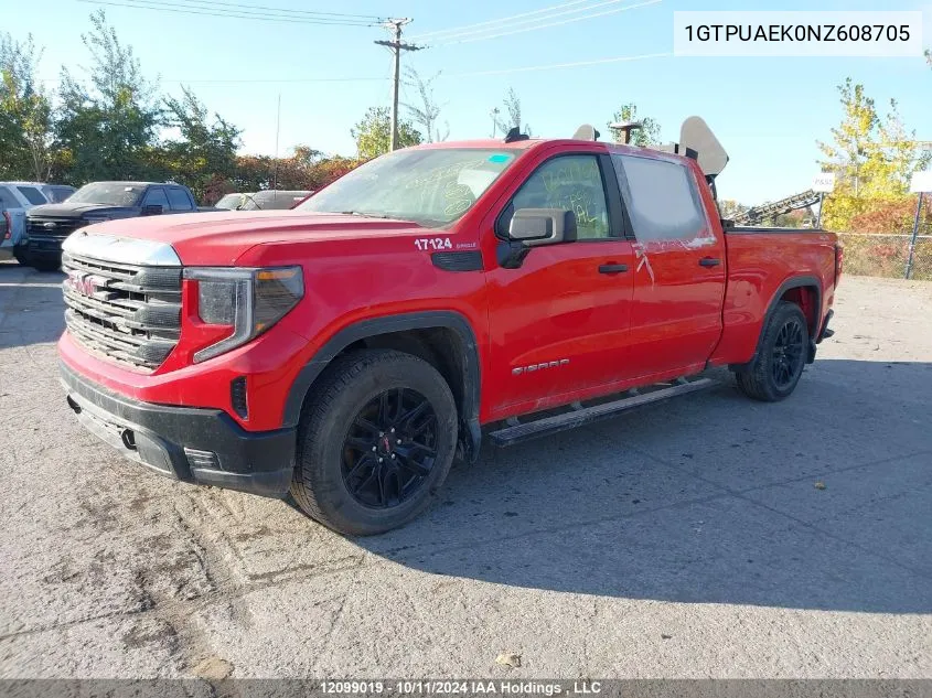 2022 GMC Sierra 1500 VIN: 1GTPUAEK0NZ608705 Lot: 12099019