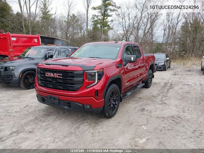 2022 GMC Sierra 1500 VIN: 1GTUUCED5NZ524296 Lot: 12147245