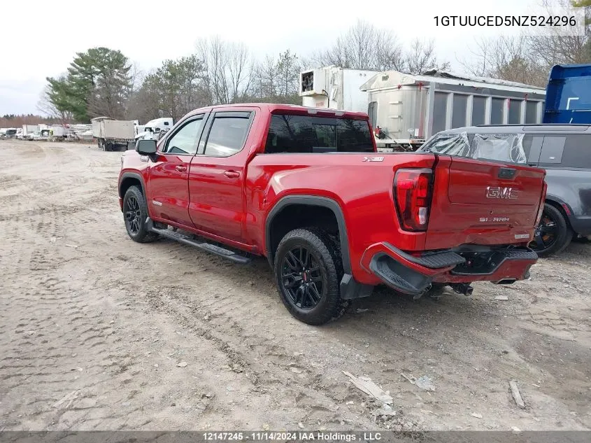 2022 GMC Sierra 1500 VIN: 1GTUUCED5NZ524296 Lot: 12147245