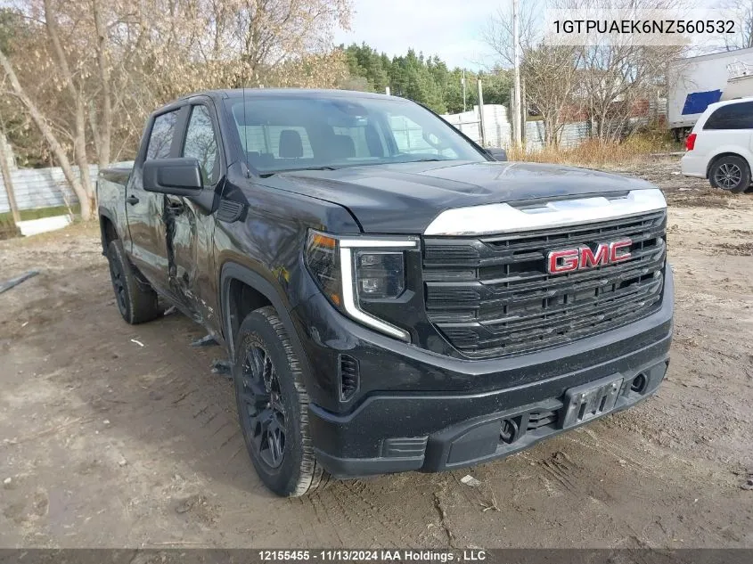 2022 GMC Sierra 1500 VIN: 1GTPUAEK6NZ560532 Lot: 12155455