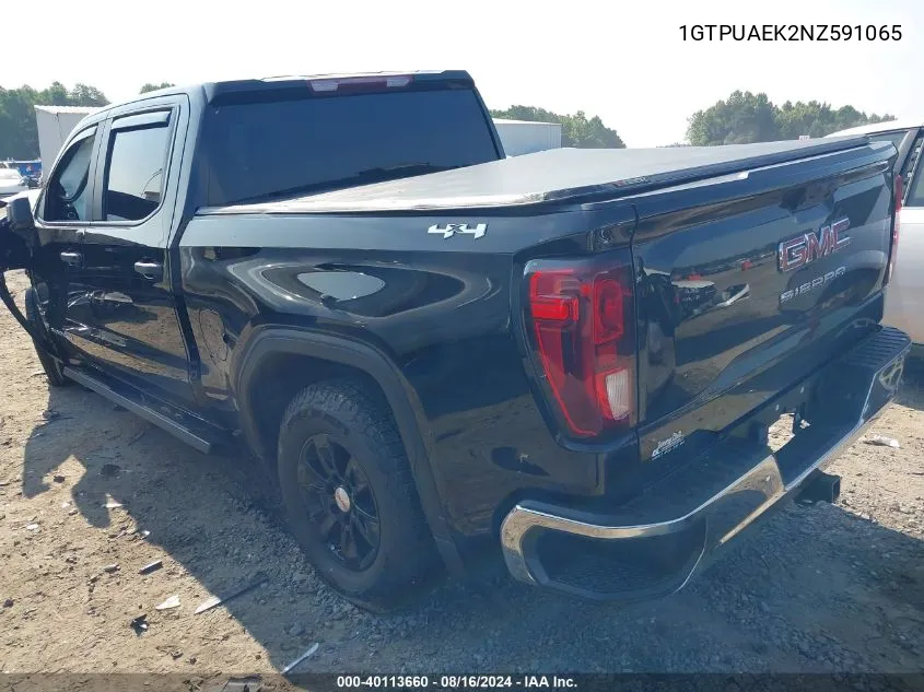 2022 GMC Sierra 1500 4Wd Short Box Pro VIN: 1GTPUAEK2NZ591065 Lot: 40113660