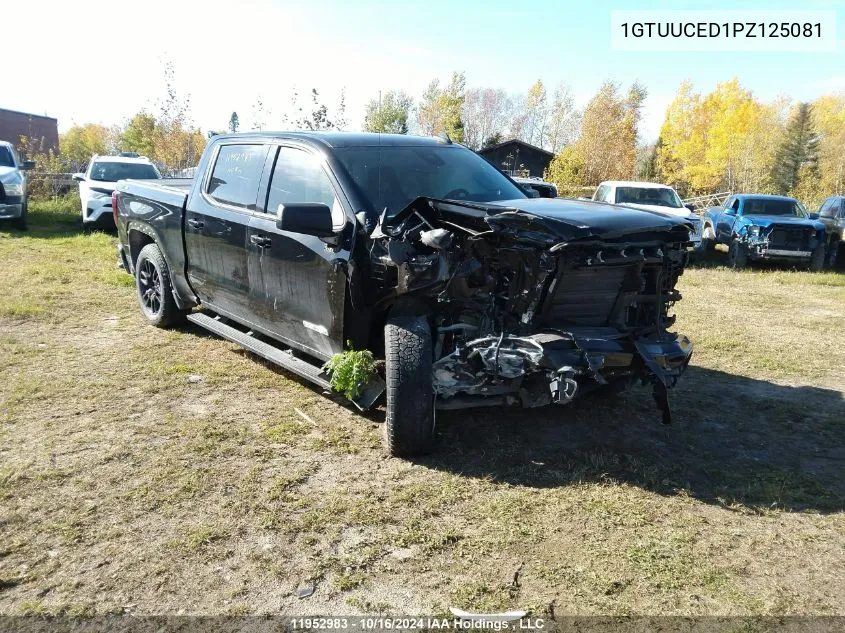 2023 GMC Sierra 1500 VIN: 1GTUUCED1PZ125081 Lot: 11952983